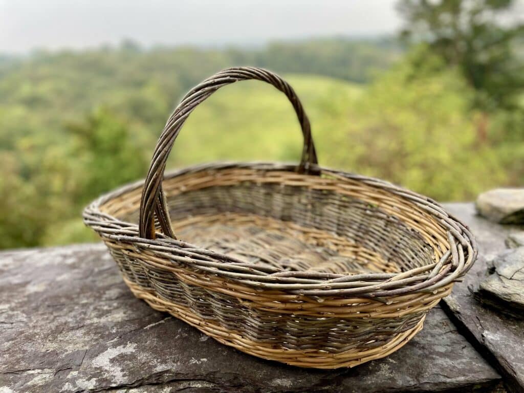 Large harvest basket